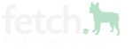 fetch. Modern Dog Photography Dallas, Texas